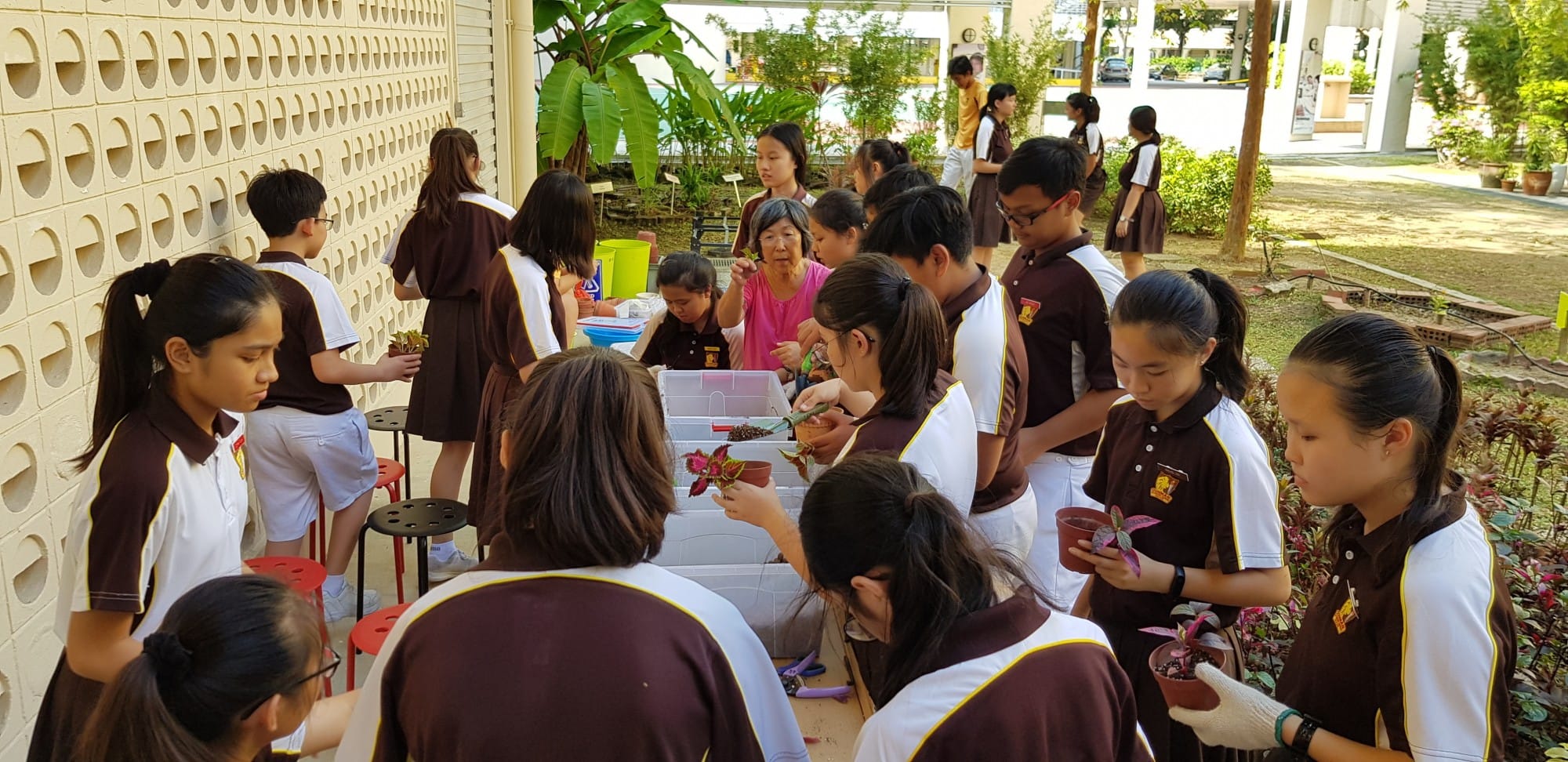 Students in brown and white uniforms gather outdoors, handling small potted plants during a gardening activity with an adult instructor.